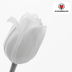 Tulip Bulbs Catherina – 20 pieces | KH Bloembollen® | Pure White Tulip – Timeless & Elegant – For Garden or Pot – Size 11/12 – Fresh from the Grower Bild 5