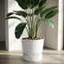 Elho Greenville Rund Pflanztopf 30cm Weiß - Modern & Langlebig Bild 4