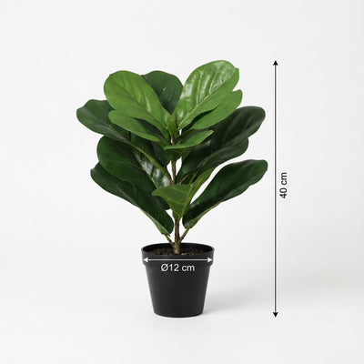 Kunst Ficus Lyrata (Geigenfeige) 40cm - Pflegeleicht & Naturgetreu