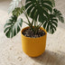 Elho Jazz Topf Rund Bernstein Gelb D23cm H21cm Bild 5