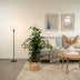 Ficus Benjamina Danielle Zimmerpflanze (Ø21cm, ↕95cm) mit Korb Bild 4