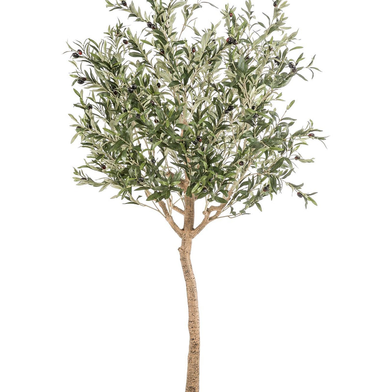Kunstbaum Olive Olea europaea - 180 cm