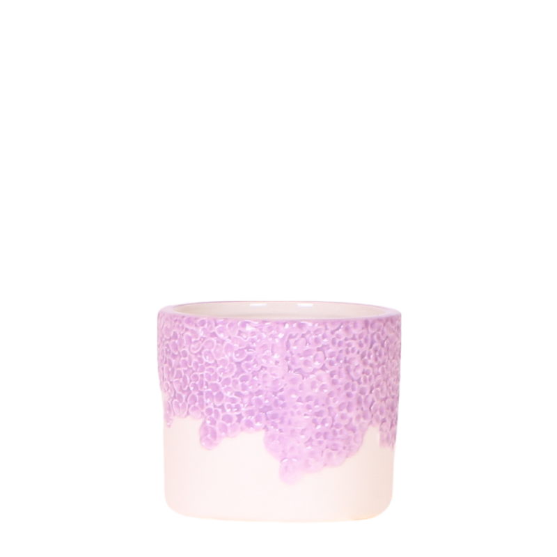 Kolibri Home Flower Pot Purple Ø6cm – Elegance for Your Home