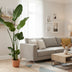 Strelitzia Nicolai im elho Vibes Fold Round rosa Topf, 100 cm Bild 2