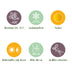 GreenboutiQ Japanischer Ahorn Summergold, Gelb, 2 Pflanzen, 70cm Bild 4