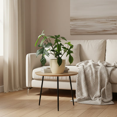 Künstlicher Philodendron Florida (44cm) - Tropisches Flair ohne Pflege