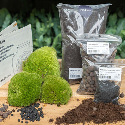 Terrarium Starter- & Nachfüllpaket L/XL - DIY & Pflege