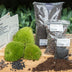 Terrarium Starter- & Nachfüllpaket L/XL - DIY & Pflege Bild 2