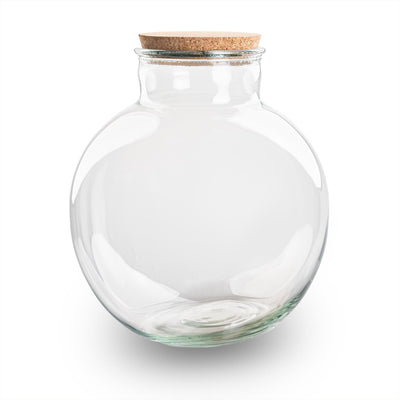 Terrariumflasche Bolder Bob Ø 30cm H 31cm - Stilvolles Glas-Terrarium