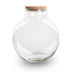 Terrariumflasche Bolder Bob Ø 30cm H 31cm - Stilvolles Glas-Terrarium Bild 1