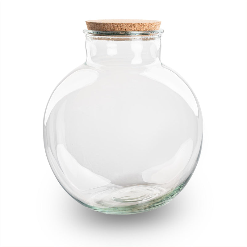 Terrariumflasche Bolder Bob Ø 30cm H 31cm - Stilvolles Glas-Terrarium