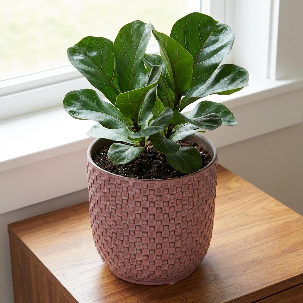 Pot relief roze D13,5