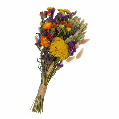 Getrocknete Blumen: Feldstrauß Groß, Orange, 8 Sträuße, 60cm