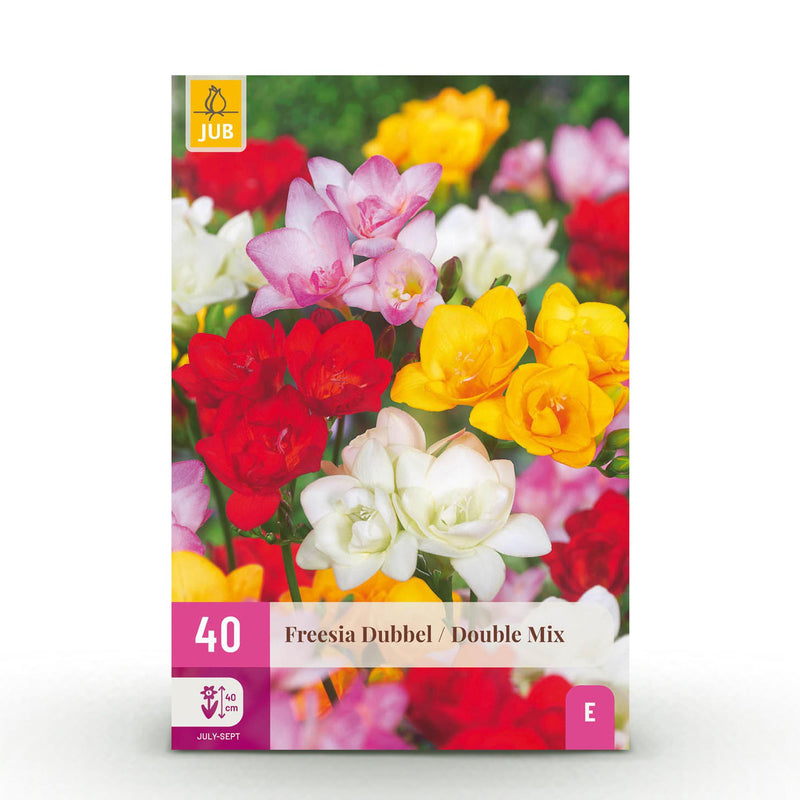 GreenboutiQ Freesia Double Mix Blumenzwiebeln - 40 Stück, Zwiebelgröße 5/6