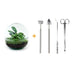Bottle Garden Kit: Self-sufficient Mini Biotope with Tools Bild 1