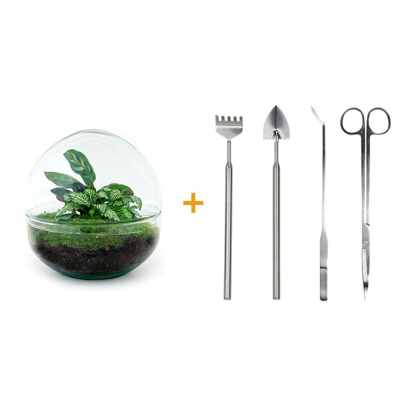 Bottle Garden Kit: Self-sufficient Mini Biotope with Tools
