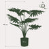 Künstliche Philodendron Pflanze, 60 cm – Natürliche Deko für Ihr Zuhause Bild 2