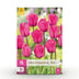 GreenboutiQ - Flower Bulbs - Tulip Triumph Pink - Bulbs Hardy Perennial - Color Pink - 15 Pieces - Bulb Size 11/12 - XXL Pack Bild 1