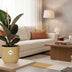 Ficus Elastica 'Robusta' im ELHO Vibes Fold Topf (14cm, gelb) Bild 3