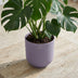 Elho Jazz Rund Lavendel Flieder Topf D23cm H21cm Bild 4