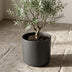 Elho B.for soft Blumentopf Anthrazit 25 cm Bild 4