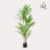 Kunstpalme Chamaedorea Elegans (Bergpalme) - 180 cm Bild 3