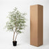 Kunst Cassia-Baum 180 cm - Pflegeleicht & Elegant Bild 6