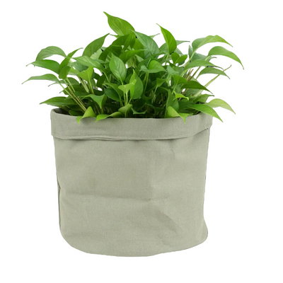 Planting Bag Jade D22: Robust & Flexible for Healthy Plants