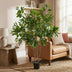 Künstlicher Ficus Benjamina, 128 cm – Dekoration ohne Aufwand Bild 4