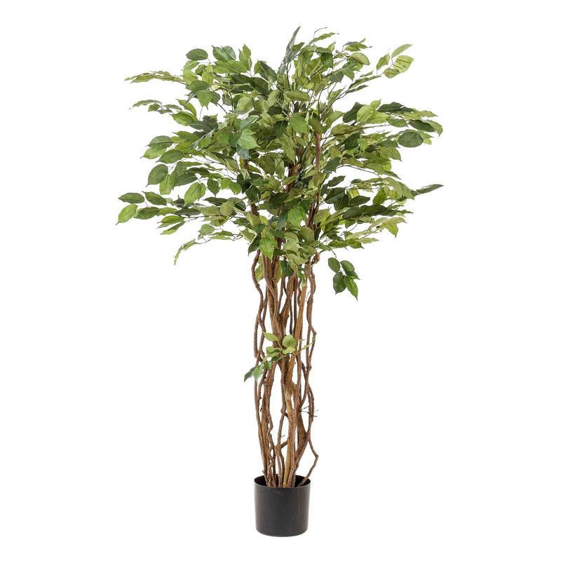 Künstliche Ficus Liane (Geigenblattpflanze) – 140 cm – Realistisch & Elegant