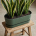 Elho Topf Greenville Easy Balkon D25cm - Blattgrün, Integrierter Wasserspeicher Bild 4