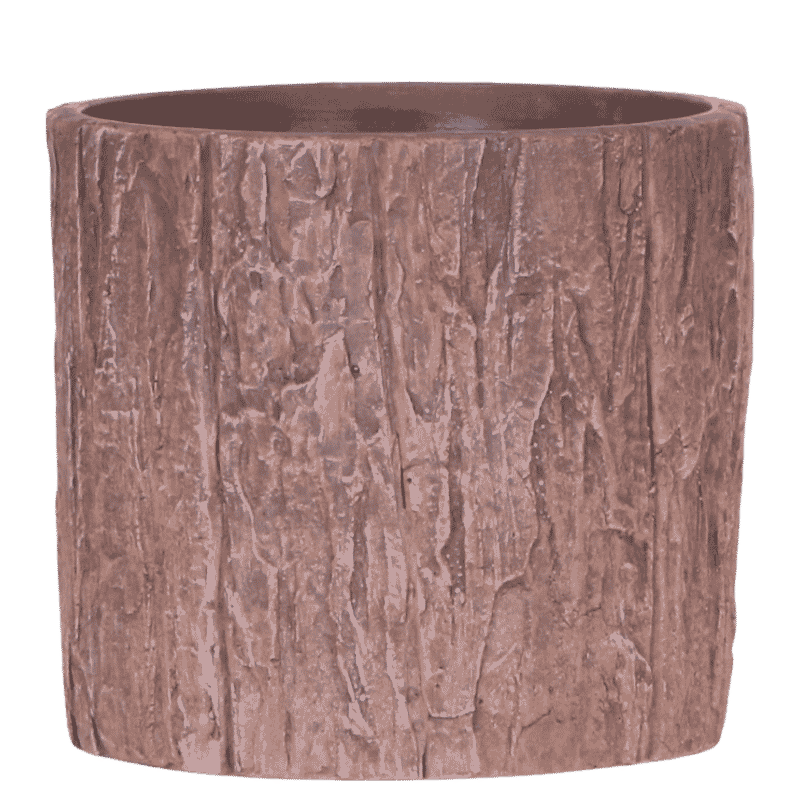 Kolibri Home | Baum Übertopf - Ø12 cm