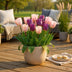 GreenboutiQ Tulpenzwiebeln 'Macron Mix' - 12 Stück, bunte Frühlingstulpen Bild 5