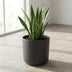 Elho B.for soft Blumentopf Anthrazit - 14 cm Bild 5
