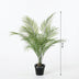 Kunst-Kentia-Palme 65 cm: Elegante Deko ohne Pflege Bild 2