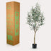 Kunstpflanze Olivenbaum Olea Europaea, 140 cm Bild 6