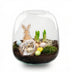 Emma Oster Offenes Terrarium DIY Kit - Frühlingsdeko & Geschenk Bild 1