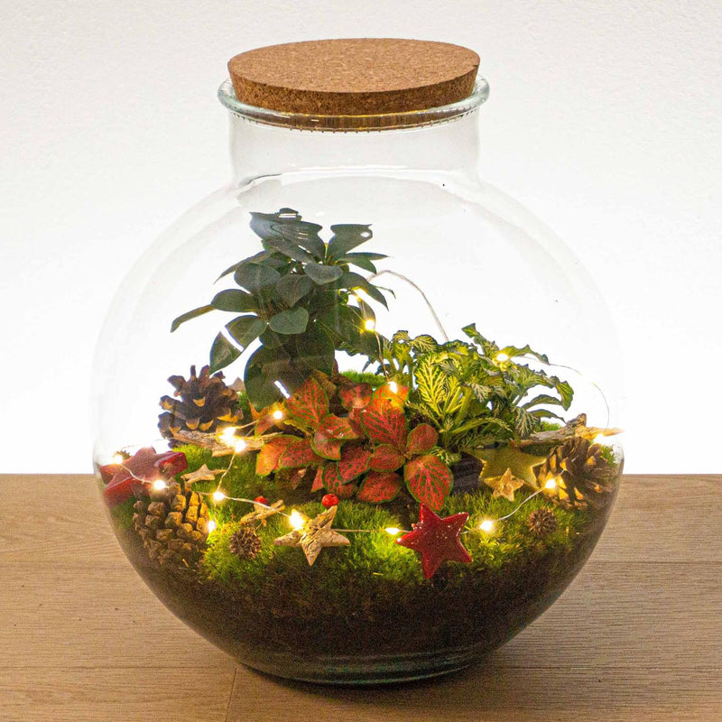 Weihnachts-Deko-Set für Pflanzen-Terrarium – Festlicher Glanz