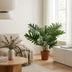 Artificial Philodendron Selloum 70cm - Tropical Flair Without the Fuss Bild 5