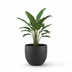 Topf Grigio New Egg Anthrazit - D45 x H38 cm Bild 3