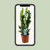 ZZ Plant Lucky Feather 65 cm, easy to care for & robust Bild 5