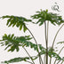 Künstliche Philodendron Pflanze, 105 cm – Grüner Blickfang für Ihr Zuhause Bild 3