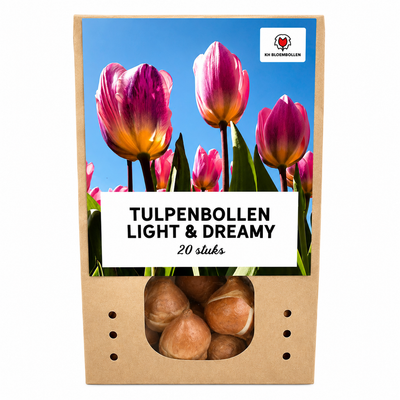 Tulpenzwiebeln Light and Dreamy – 20 Stück | KH Bloembollen® | Wunderschöne Pastellfarben – Für Garten oder Topf – Größe 11/12 – Frisch vom Züchter!