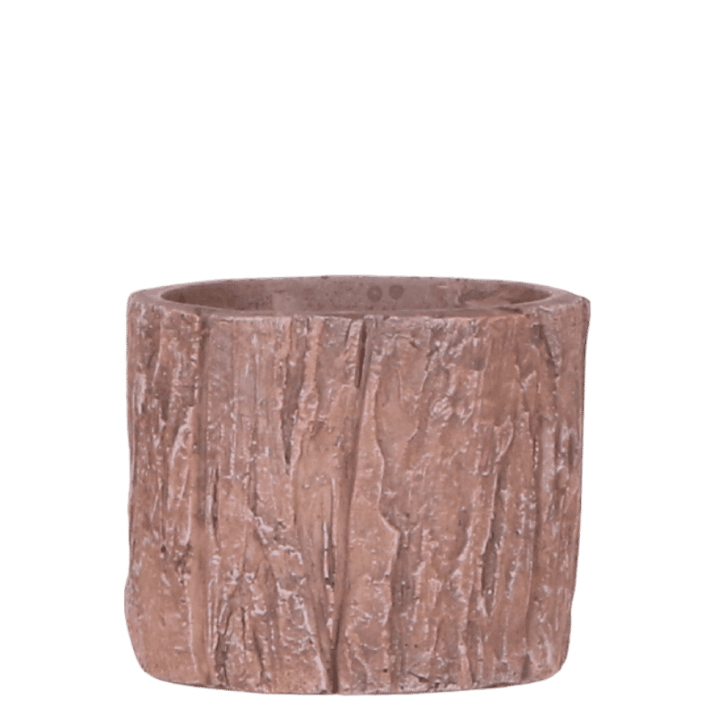 Kolibri Home | Baum Übertopf - Ø6 cm