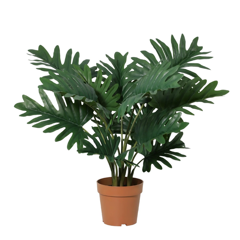 Artificial Philodendron Selloum 70cm - Tropical Flair Without the Fuss