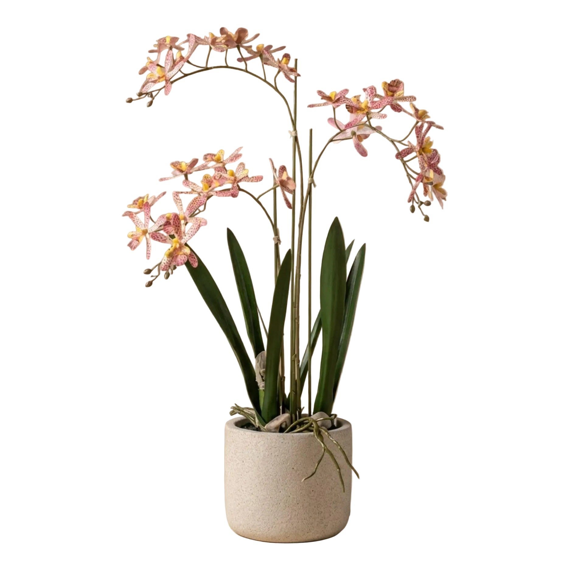 Renanthera Orchidee Roze in pot - 56 cm - Kunstplant