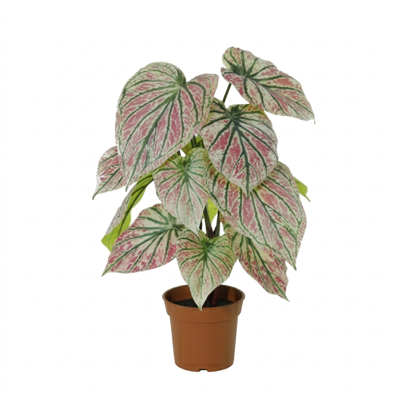 Künstliche Caladium Pflanze grün/pink, 57cm