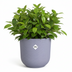 Elho Jazz Round Pot Lavender-Purple D14 x H13 cm Bild 4