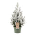 Picea glauca Conica - Zuckerhutfichte - Grün - Weiß - Weihnachtsbaum - Ø19cm - ↕65cm Bild 2