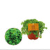 Pilea Depressa Aluminiumpflanze Ø10,5cm, Höhe 15cm Bild 1